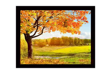 Innrammet lerretsbilde i tre - 41x56 cm - Vakkert høstlandskap med et stort tre og fargerike blader - Oransje / Gul / Grønn - Interiør - Maleri & posters - Lerretsbilder