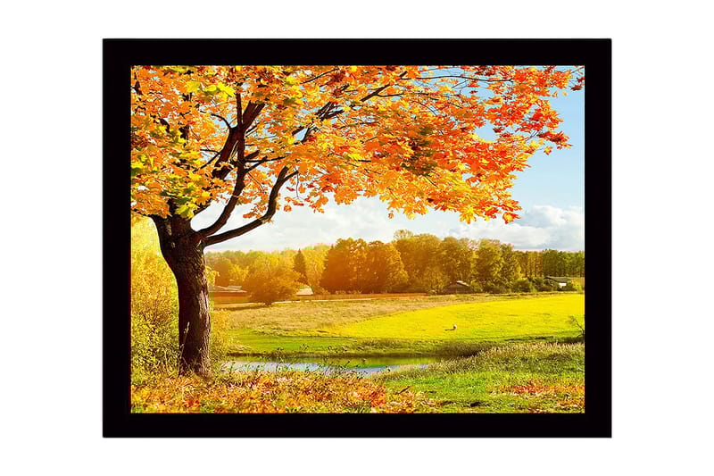 Innrammet lerretsbilde i tre - 41x56 cm - Vakkert høstlandskap med et stort tre og fargerike blader, Oransje / Gul / Grønn