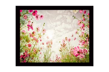 Innrammet trelerretsbilde - 41x56 cm - Blomsterfelt med rosa blomster som strekker seg mot en lys himmel - Rosa / Grønn - Interiør - Maleri & posters - Lerretsbilder