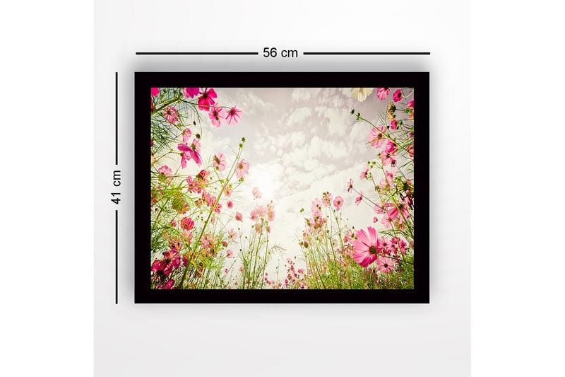 Innrammet trelerretsbilde - 41x56 cm - Blomsterfelt med rosa blomster som strekker seg mot en lys himmel - Rosa / Grønn - Interiør - Maleri & posters - Lerretsbilder