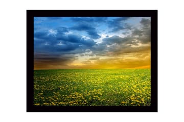 Innrammet trelerretsbilde - 41x56 cm - Blomstrende eng med gule løvetann under en dramatisk himmel - Gul / Blå / Grønn - Interiør - Maleri & posters - Lerretsbilder