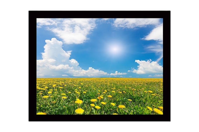 Innrammet trelerretsbilde - 41x56 cm - Blomstrende felt med løvetann under en klar blå himmel, Gul / Grønn / Blå