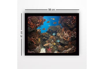 Innrammet trelerretsbilde - 41x56 cm - Fargerik undervannsscene med korallrev og svømmende fisk - Blå / Oransje / Grønn - Interiør - Maleri & posters - Lerretsbilder