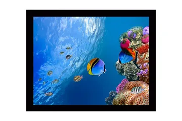 Innrammet trelerretsbilde - 41x56 cm - Fargerik undervannsscene med korallrev og svømmende fisk - Blå / Oransje / Rosa - Interiør - Maleri & posters - Lerretsbilder