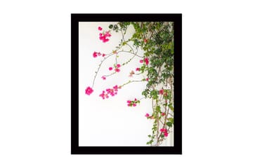 Innrammet trelerretsbilde - 41x56 cm - Fargerike bougainvilleablomster som klatrer langs en gren - Rosa / Grønn - Interiør - Maleri & posters - Lerretsbilder