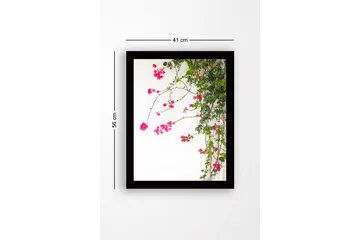 Innrammet trelerretsbilde - 41x56 cm - Fargerike bougainvilleablomster som klatrer langs en gren - Rosa / Grønn - Interiør - Maleri & posters - Lerretsbilder