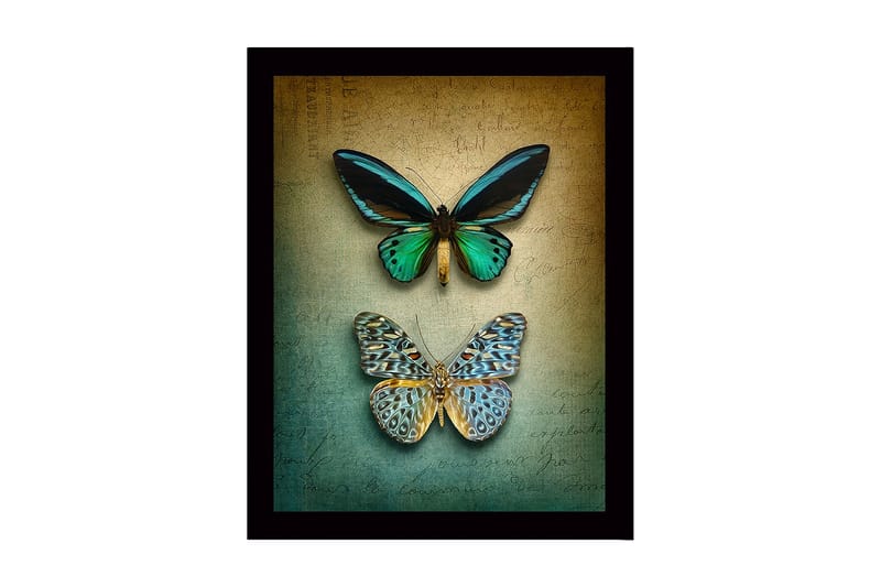Innrammet trelerretsbilde - 41x56 cm - Fargerike sommerfugler på en teksturert bakgrunn, Grønn / Blå / Beige