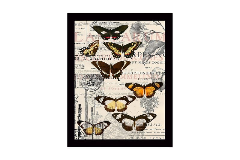 Innrammet trelerretsbilde - 41x56 cm - Fargerike sommerfugler på en vintage-inspirert bakgrunn, Svart / Brun / Oransje