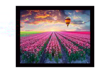 Innrammet trelerretsbilde - 41x56 cm - Felt med fargerike tulipaner under en ballong ved solnedgang - Rosa / Grønn / Oransje - Interiør - Maleri & posters - Lerretsbilder
