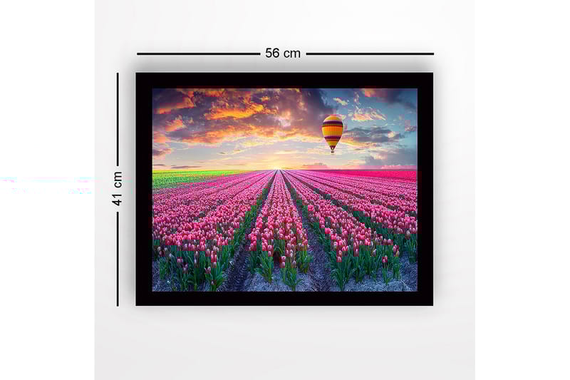 Innrammet trelerretsbilde - 41x56 cm - Felt med fargerike tulipaner under en ballong ved solnedgang - Rosa / Grønn / Oransje - Interiør - Maleri & posters - Lerretsbilder