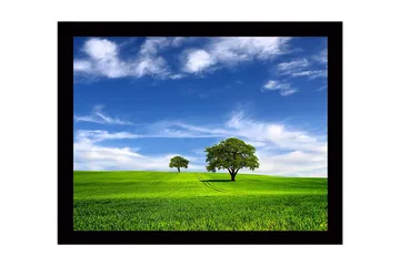 Innrammet trelerretsbilde - 41x56 cm - Frodig landskap med to trær under en blå himmel - Grønn / Blå - Interiør - Maleri & posters - Lerretsbilder