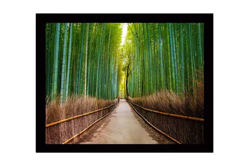 Innrammet trelerretsbilde - 41x56 cm - Grønn bambuskog med en sti som fører gjennom trærne - Grønn / Brun - Interiør - Maleri & posters - Lerretsbilder