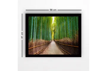 Innrammet trelerretsbilde - 41x56 cm - Grønn bambuskog med en sti som fører gjennom trærne - Grønn / Brun - Interiør - Maleri & posters - Lerretsbilder