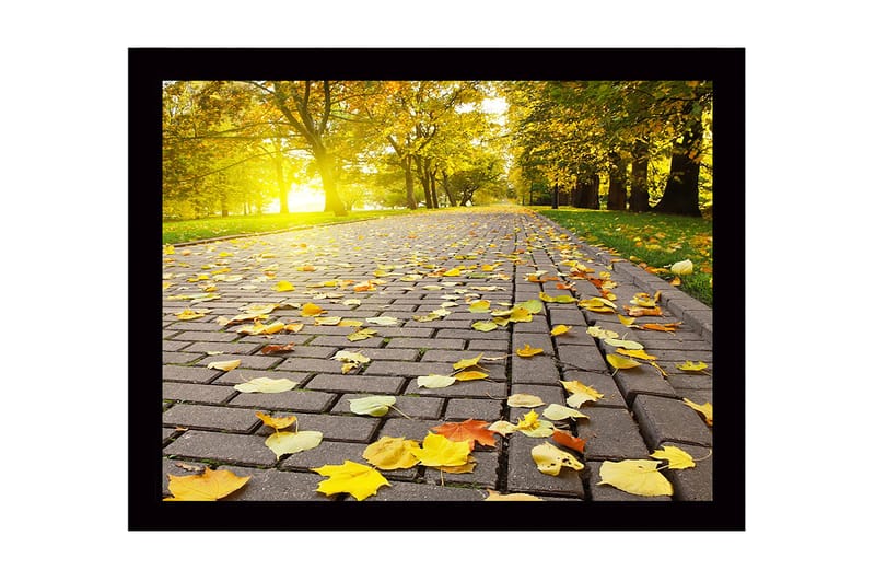 Innrammet trelerretsbilde - 41x56 cm - Gyldne høstblader på en asfaltert vei, Gul / Oransje / Brun