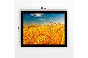 Innrammet trelerretsbilde - 41x56 cm - Gyldne hveteåkre under en klar himmel - Gull / Blå / Grønn - Interiør - Maleri & posters - Lerretsbilder