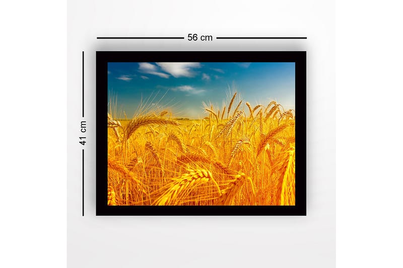 Innrammet trelerretsbilde - 41x56 cm - Gyldne hveteåkre under en klar himmel - Gull / Blå / Grønn - Interiør - Maleri & posters - Lerretsbilder
