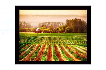 Innrammet trelerretsbilde - 41x56 cm - Landlig scene med et rødt hus omgitt av grønne åkre og pløyde åkrer - Grønn / Oransje / Rød - Interiør - Maleri & posters - Lerretsbilder