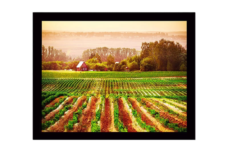 Innrammet trelerretsbilde - 41x56 cm - Landlig scene med et rødt hus omgitt av grønne åkre og pløyde åkrer, Grønn / Oransje / Rød
