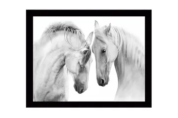 Innrammet trelerretsbilde - 41x56 cm - To majestetiske hester som lener hodene mot hverandre - Hvit / Grå - Interiør - Maleri & posters - Lerretsbilder