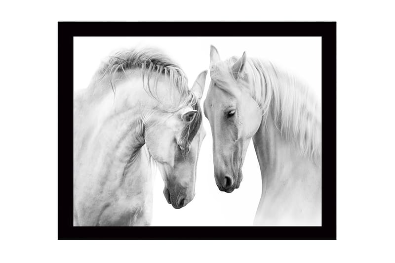 Innrammet trelerretsbilde - 41x56 cm - To majestetiske hester som lener hodene mot hverandre, Hvit / Grå
