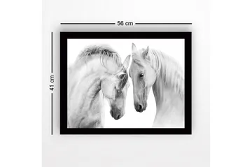 Innrammet trelerretsbilde - 41x56 cm - To majestetiske hester som lener hodene mot hverandre - Hvit / Grå - Interiør - Maleri & posters - Lerretsbilder