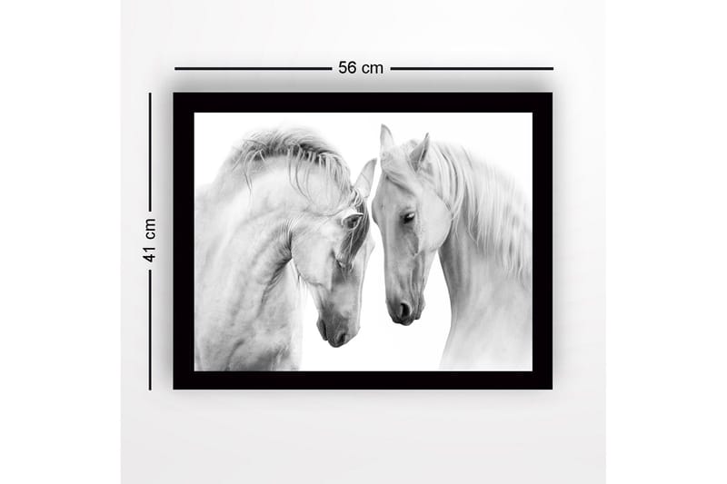 Innrammet trelerretsbilde - 41x56 cm - To majestetiske hester som lener hodene mot hverandre - Hvit / Grå - Interiør - Maleri & posters - Lerretsbilder