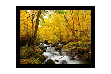 Innrammet trelerretsbilde - 41x56 cm - Vakker skog med en klukkende bekk omgitt av gyldne høstløv - Gul / Grønn / Brun - Interiør - Maleri & posters - Lerretsbilder