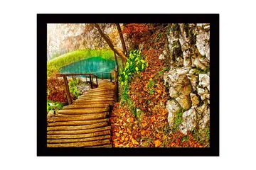 Innrammet trelerretsbilde - 41x56 cm - Vakker skogssti ved en klar innsjø omgitt av høstfarger - Grønn / Oransje / Brun - Interiør - Maleri & posters - Lerretsbilder