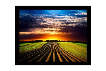 Innrammet trelerretsbilde - 41x56 cm - Vakker solnedgang over et bølgende jorde med pløyde rader - Grønn / Oransje / Blå - Interiør - Maleri & posters - Lerretsbilder