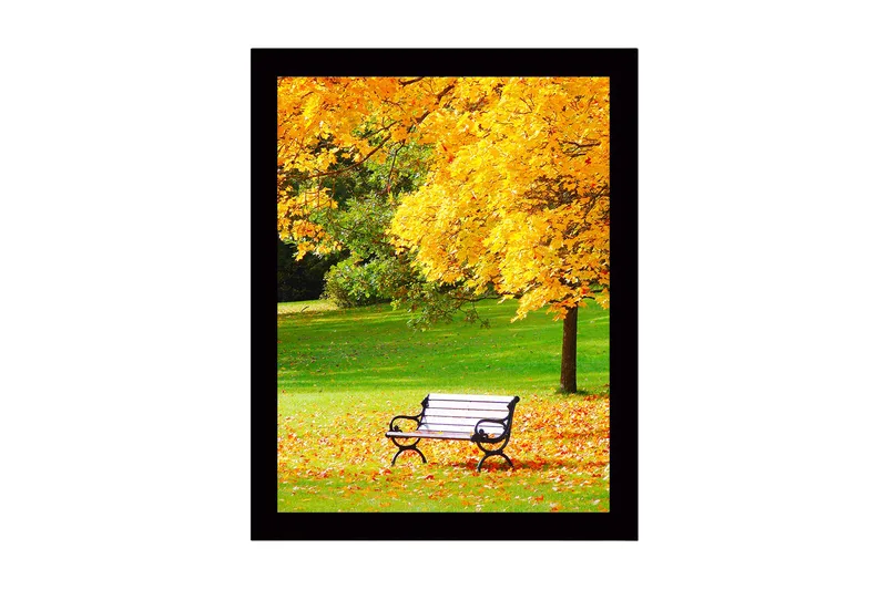 Innrammet trelerretsbilde - 41x56 cm - Vakker parkbenk omgitt av gyldne høstblader - Gull / Grønn / Svart - Interiør - Maleri & posters - Lerretsbilder