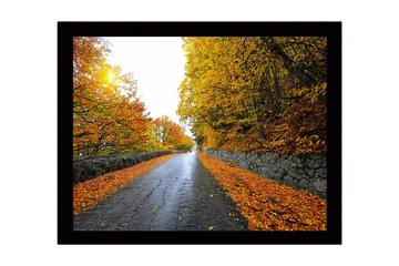 Innrammet trelerretsbilde - 41x56 cm - Vakkert høstlandskap med en vei omgitt av gyldne trær - Gull / Oransje / Grå - Interiør - Maleri & posters - Lerretsbilder