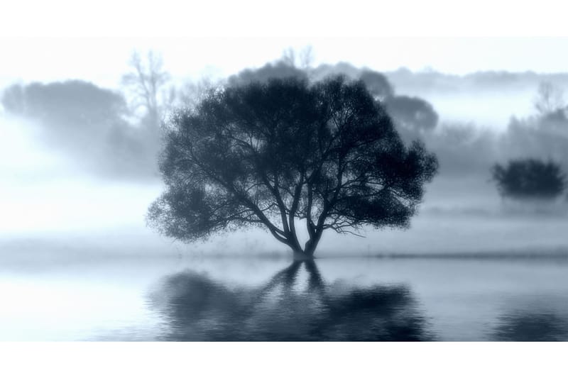 Kanvas Sprint Tree 70x130cm - - Lerretsbilder Kanvas Sprint Tree 70x130cm - - Lerretsbilder