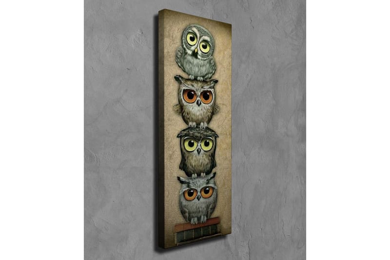 Lerretsbilde 30x80 cm - Stablede ugler med forskjellige uttrykk og farger - Grå / Brun / Gul - Interiør - Maleri & posters - Lerretsbilder