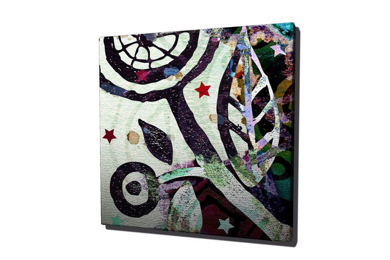 Lerretsbilde 45x45 cm - Abstrakt komposisjon med organiske former og stjerner - Grønn / Svart / Rød - Interiør - Maleri & posters - Lerretsbilder