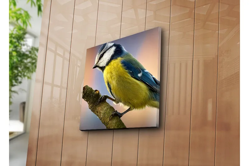 Lerretsbilde 45x45 cm - Blåmeis på en gren - Blå / Gul / Hvit - Interiør - Maleri & posters - Lerretsbilder