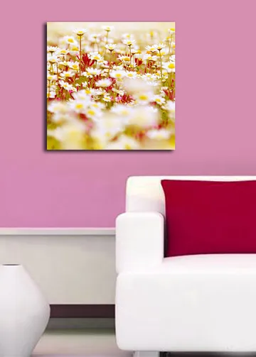 Lerretsbilde 45x45 cm - Blomsterfelt i forskjellige nyanser av hvitt og gult - Hvit / Gul / Grønn - Interiør - Maleri & posters - Lerretsbilder