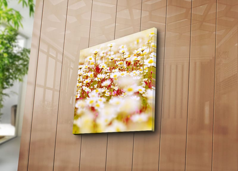 Lerretsbilde 45x45 cm - Blomsterfelt i forskjellige nyanser av hvitt og gult - Hvit / Gul / Grønn - Interiør - Maleri & posters - Lerretsbilder