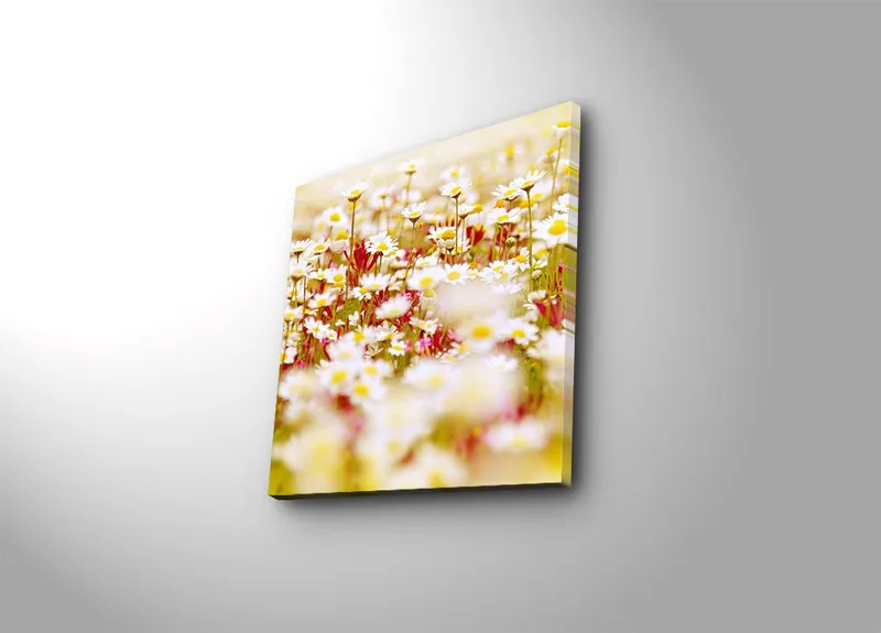 Lerretsbilde 45x45 cm - Blomsterfelt i forskjellige nyanser av hvitt og gult, Hvit / Gul / Grønn