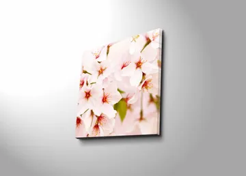 Lerretsbilde 45x45 cm - Blomstrende kirsebærblomster i pastellfarger - Lys rosa / Hvit / Grønn - Interiør - Maleri & posters - Lerretsbilder