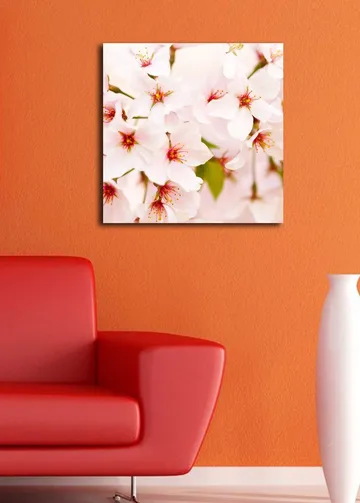 Lerretsbilde 45x45 cm - Blomstrende kirsebærblomster i pastellfarger - Lys rosa / Hvit / Grønn - Interiør - Maleri & posters - Lerretsbilder