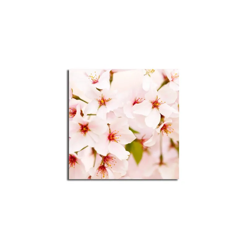 Lerretsbilde 45x45 cm - Blomstrende kirsebærblomster i pastellfarger - Lys rosa / Hvit / Grønn - Interiør - Maleri & posters - Lerretsbilder