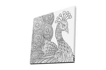 Lerretsbilde 45x45 cm - Detaljert fjærkre med intrikate mønstre - Svart / Hvit - Interiør - Maleri & posters - Lerretsbilder