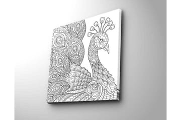 Lerretsbilde 45x45 cm - Detaljert fjærkre med intrikate mønstre - Svart / Hvit - Interiør - Maleri & posters - Lerretsbilder