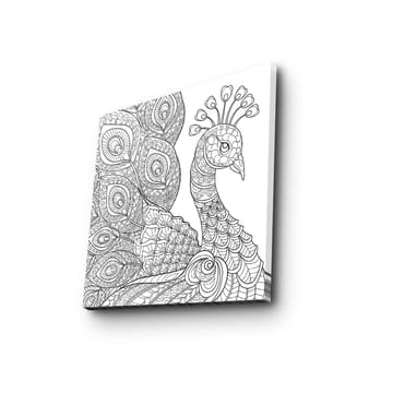 Lerretsbilde 45x45 cm - Detaljert fjærkre med utsmykkede fjær - Svart / Hvit - Interiør - Maleri & posters - Lerretsbilder