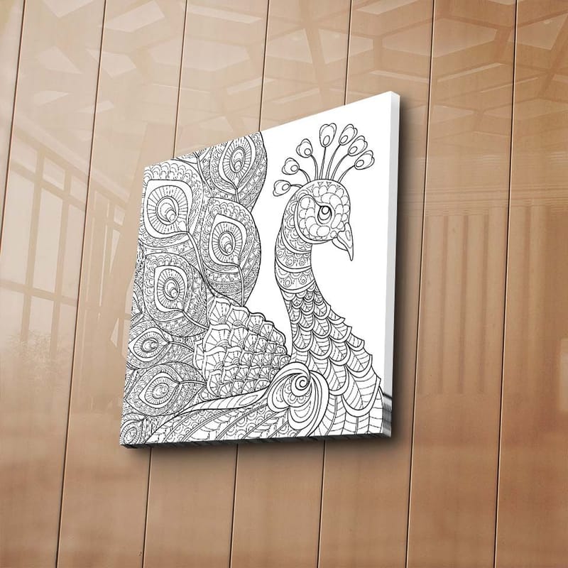 Lerretsbilde 45x45 cm - Detaljert fjærkre med utsmykkede fjær - Svart / Hvit - Interiør - Maleri & posters - Lerretsbilder