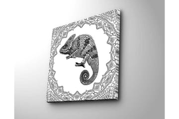 Lerretsbilde 45x45 cm - Detaljert illustrasjon av en kameleon i en utsmykket ramme - Svart / Hvit - Interiør - Maleri & posters - Lerretsbilder