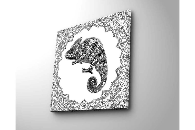 Lerretsbilde 45x45 cm - Detaljert illustrasjon av en kameleon i en utsmykket ramme - Svart / Hvit - Interiør - Maleri & posters - Lerretsbilder