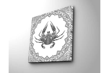 Lerretsbilde 45x45 cm - Detaljert illustrasjon av en krabbe omgitt av ornamentale mønstre - Svart / Hvit - Interiør - Maleri & posters - Lerretsbilder