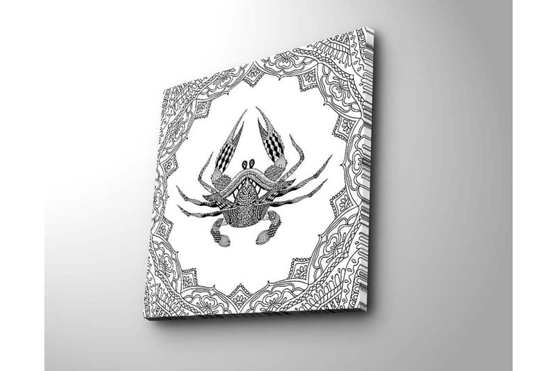 Lerretsbilde 45x45 cm - Detaljert illustrasjon av en krabbe omgitt av ornamentale mønstre - Svart / Hvit - Interiør - Maleri & posters - Lerretsbilder