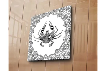 Lerretsbilde 45x45 cm - Detaljert illustrasjon av en krabbe omgitt av ornamentale mønstre - Svart / Hvit - Interiør - Maleri & posters - Lerretsbilder